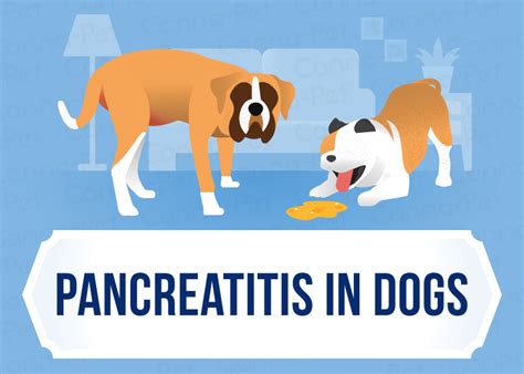 The signs of pancreatic tumors depend on the type of tumor. Pancreatitis in Dogs: Symptoms, Causes & More | Canna-Pet