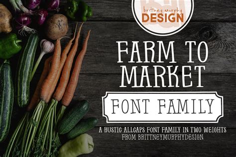 Farm To Market Font Brittney Murphy Design Fontspace