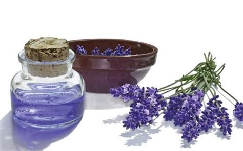 Bí kíp chữa mụn bằng tinh dầu dược liệu | Tinh dầu, Hình xăm, Oải hương