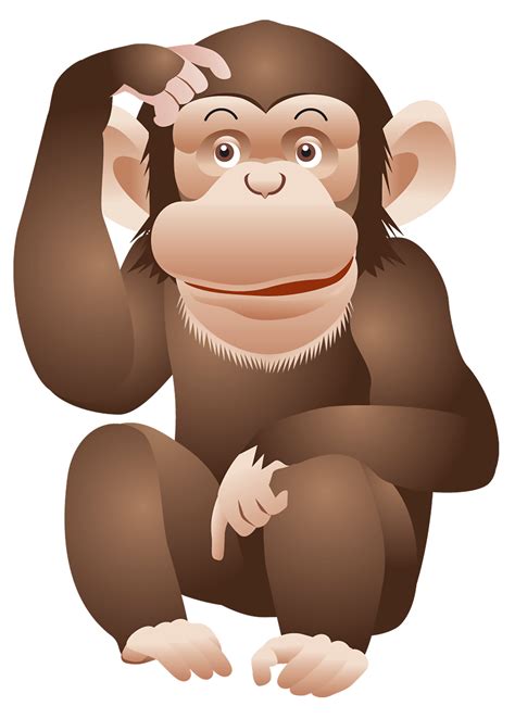 Monkey Png Transparent Image Download Size X Px