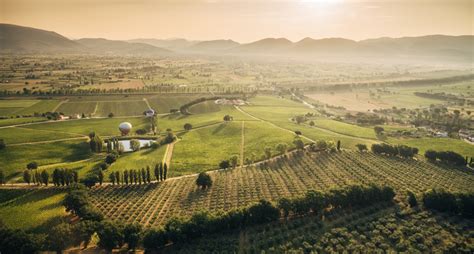 Vineyards Of Tuscany Umbria Italy Escorted Tour Holidays Inghams