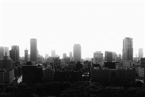 Building Grayscale Photo Of City Buildings Nature Image Free Stock Photo