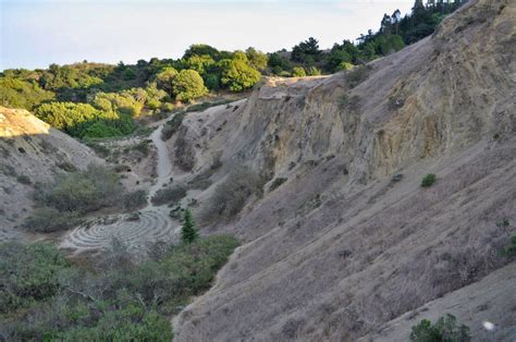 Robert sibley volcanic regional preserve is located in the berkeley hills of the east bay region of the san francisco bay area, california. A Self-Guided Walk in Sibley Volcanic Regional Preserve