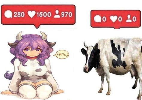 We Live In A Society Cow Girls Cow Bikini Touch The Cow Know Your Meme