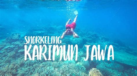 Maybe you would like to learn more about one of these? Pesona Bawah Laut Karimun Jawa - Snorkeling Murah - YouTube