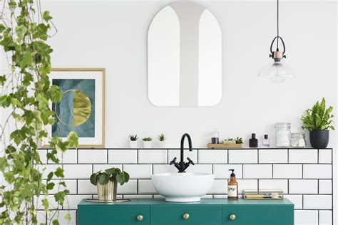 17 Plantas Para El Baño Nombres Características Y Fotos