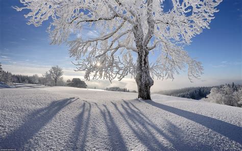 Love Cold Scenes With Images Winter Wallpaper Winter Desktop