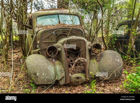 Weathered And Decaying Old Vintage Car Abandoned In The Woods Covered