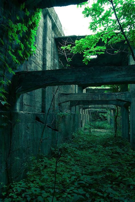 Fairycore aesthetic is described as the surrounding of nature and magic, with the main theme of spring. rreIMGP5415-4 | Dark green aesthetic, Green aesthetic ...