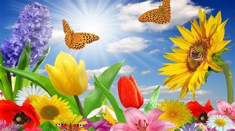 We did not find results for: Summer Spring Butterfly Flowers Sunlight Rays Color ...