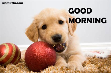 Good Morning Wishes Christmas Puppy Christmas Dog