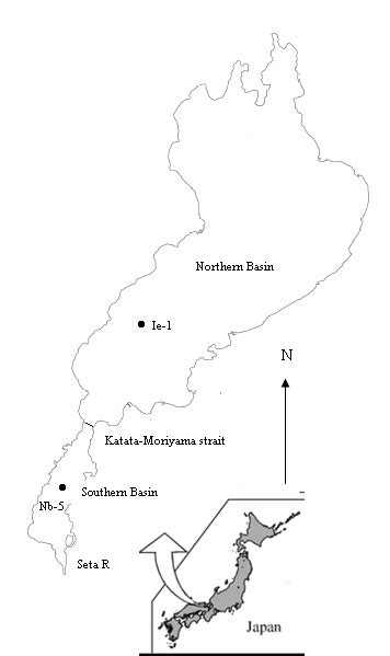 Lake Biwa Map Lake Biwa Topographic Map Elevation Relief For