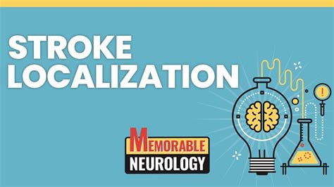 Stroke Localization Made Easy With Mnemonics Memorable Neurology