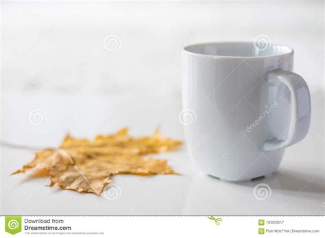An Autumnal Day A Cup Of Tasty Tea And Cake Next To Dry Maple Stock Image Image Of Home