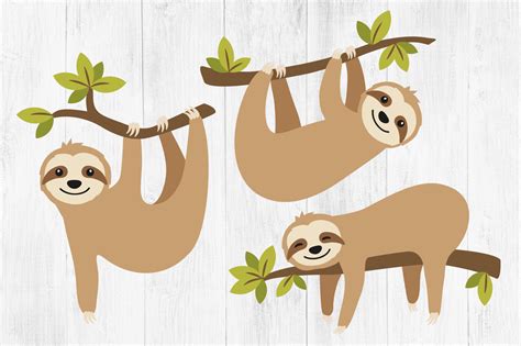 Sloth Clipart Sloth Svgs Cute Sloths Dxf Eps Png By Twingenuity