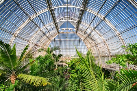 The Time Has Come To Decolonise Botanical Gardens Like Kew The