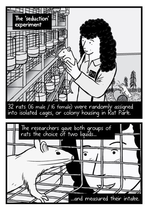 Rat Park Science Comic By Stuart Mcmillen The Sieve Of My Mind