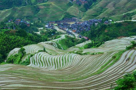 Guilin Longsheng Rice Terraces Tour China Chengdu Tours Chengdu