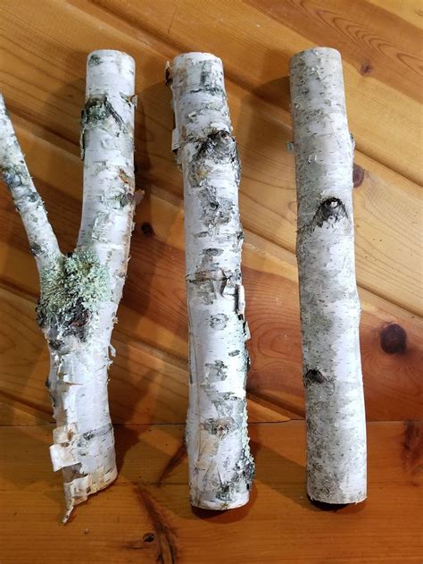 White Birch Logs 16 Inch Wood Logs Fireplace Decor Home Etsy