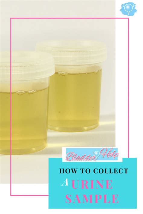 How To Collect A Urine Sample Mid Stream Urine Sample Bladder Help