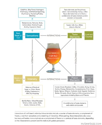 The Sensory Side Of Craft Beer And Food Pairing Infographic Beer Food Pairings Beer Pairing
