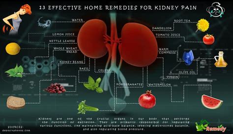 13 Effective Home Remedies For Kidney Pain Home Remedies Natural