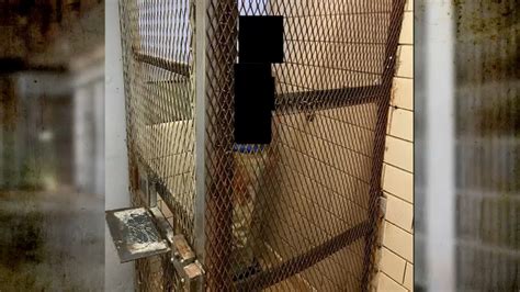 Rikers Island Controversy Locking Prisoners In Narrow Shower Stalls In