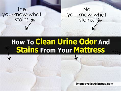 Unfortunately, you can't soak a mattress as you would a piece of clothing; How To Clean Urine Odor And Stains From Your Mattress
