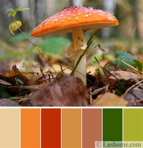 At colorcodes.io, we are the. 5 Beautiful Orange Color Schemes to Spice up Your Interior ...