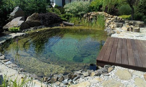 Have A Swim Pond Outdoor Natural Swimming Pool Swimming Pond Backyard Pool Landscaping