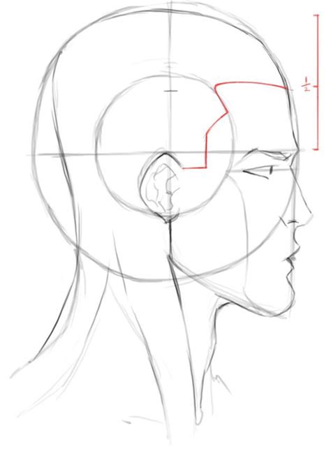 How To Draw Heads Male Profiles Drawing The Face Face Profile