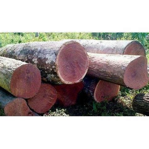 Own Red Mahagoney Logs At Rs 2200cubic Feet In Coimbatore Id 4162345412