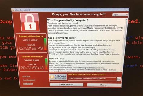hackers prepare to unleash a cyberweapon primed for second web attack just days after ransomware
