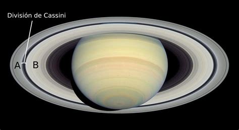 Opiniones De Division De Cassini