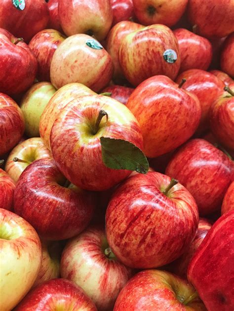 Pick Of The Week New Season Royal Gala Apples Harris Farm Markets