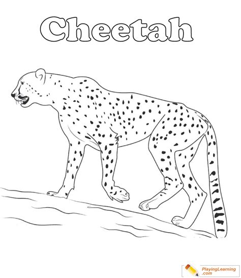 Cheetah Coloring Page 14 Free Cheetah Coloring Page