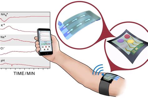 Multi Purpose Electrochemical Sensors Preview The Future Of Fitness And