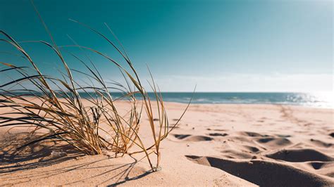 Images Gratuites plage rive le sable mer ciel océan turquoise