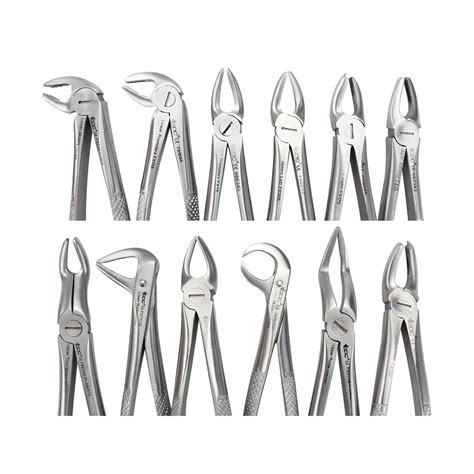 Buy Gdc Extraction Forceps Standard S12 Pouch Online At Best Prices