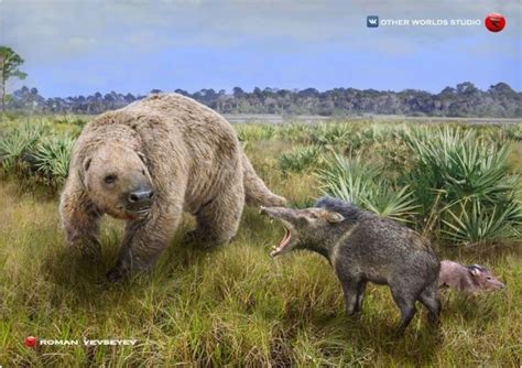 Paramylodon An Extinct Genus Of Giant Ground Sloth Is Threatened By