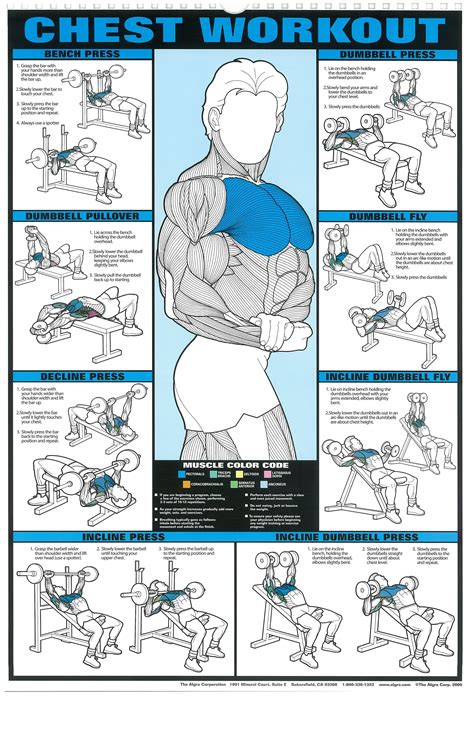 F1 Recreation Original Dumbbell Workout Poster Chest