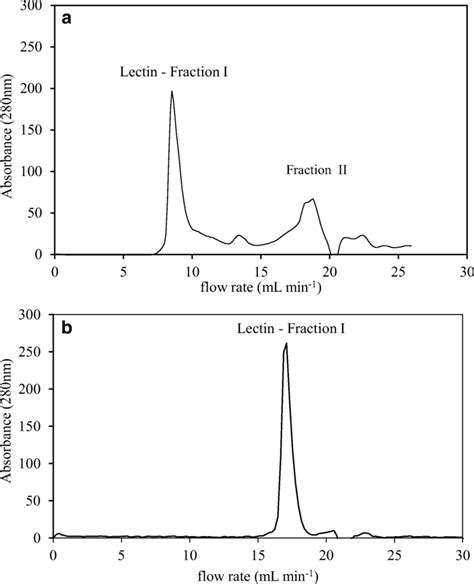 A Elution Pattern Of The Lectin On Size Exclusion Chromatography Of
