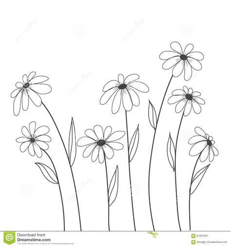 Gänseblümchen Blumen Hand Gezeichneter Vektor Für Hintergrund