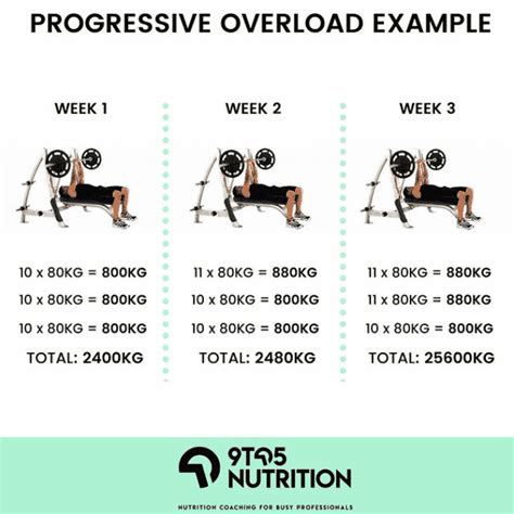 Progressive Overload For Muscle Gain 9 To 5 Nutrition
