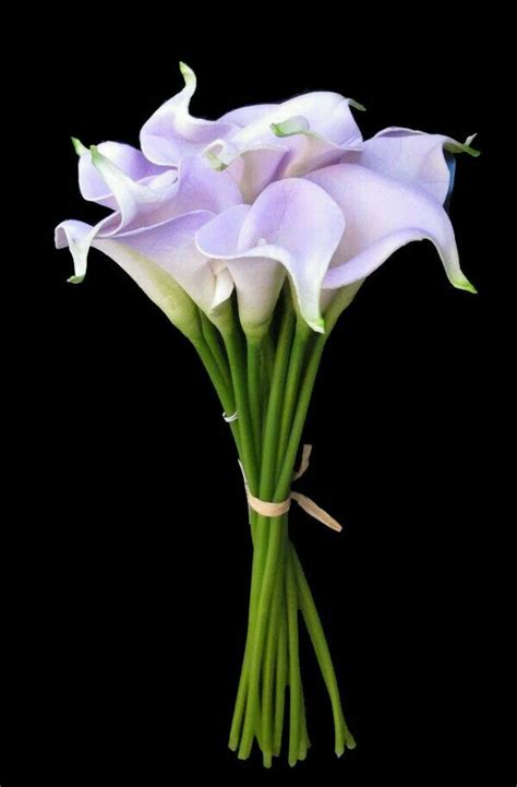 Check spelling or type a new query. Imagen | Silk flowers wedding, Lily bouquet, Cala lily bouquet