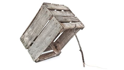 Avoid common traps in job interviews | Career advice - Job tips for
