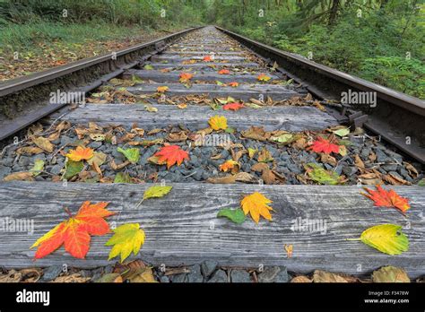 Railroad Train Track With Colorful Fall Leaves In Autumn Stock Photo