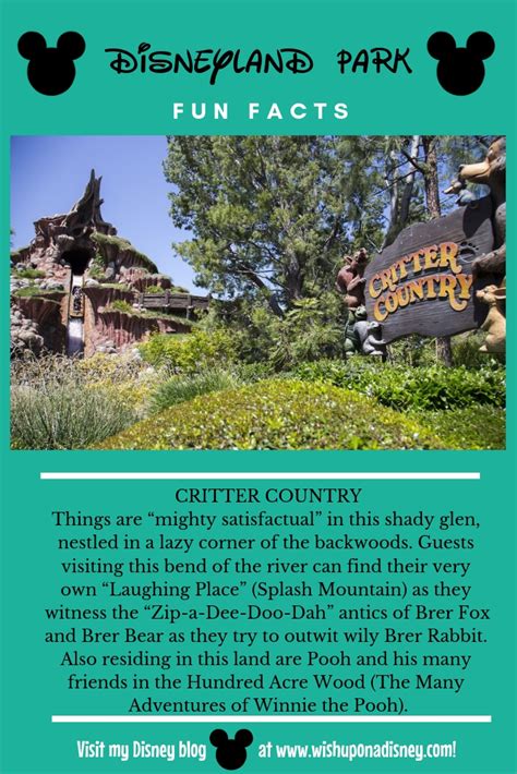 Disney Fun Facts 21 Wish Upon A Disney