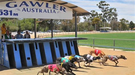 Which Is The Deadliest Greyhound Track In South Australia Herald Sun