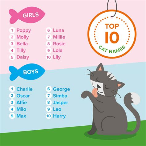 Cat Names In Cat Names Cute Cat Names Funny Cat Names Sexiezpix Web Porn